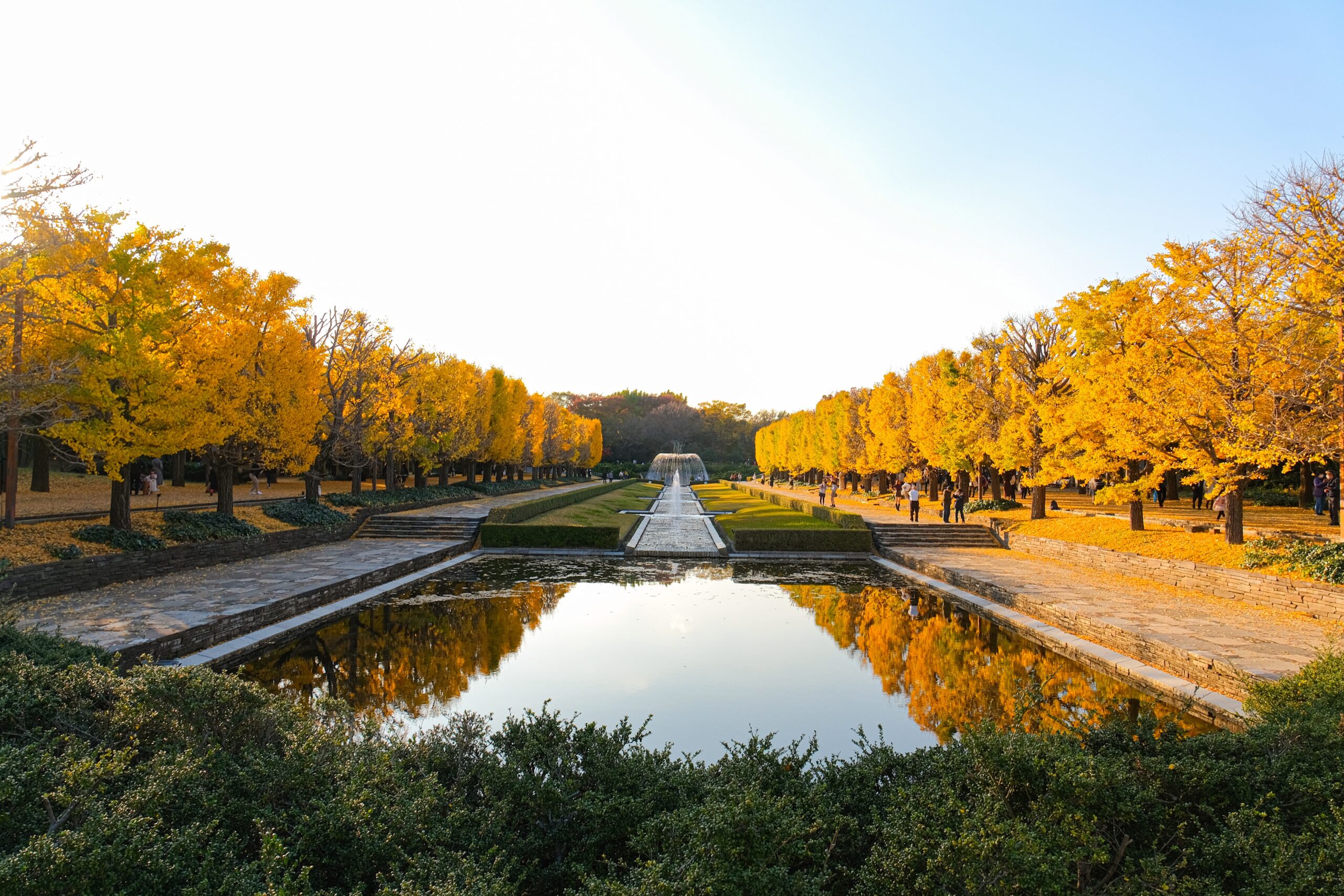 季節ごとの楽しみ【相メ１５３】 